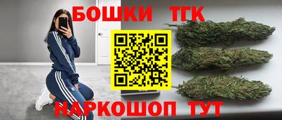 гидра Заводоуковск