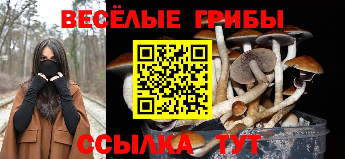 Галлюциногенные грибы прущие грибы  Вход с VPN  Зеленокумск 